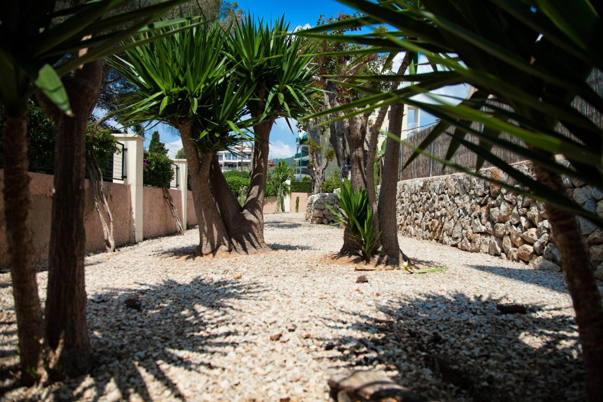 Naika Studios & Apartments Palma Nova  Zewnętrze zdjęcie